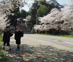 川田八幡神社(徳島県)