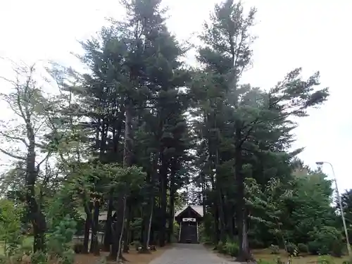 大正神社の自然