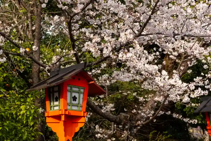 平野神社(京都府)