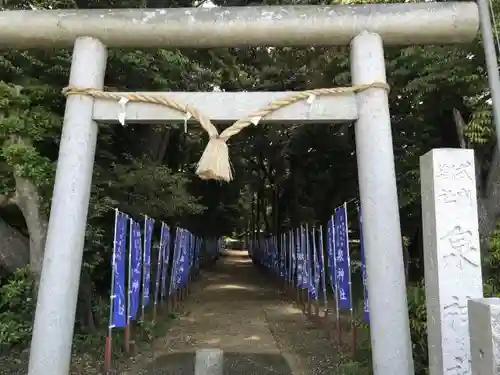 泉神社の鳥居