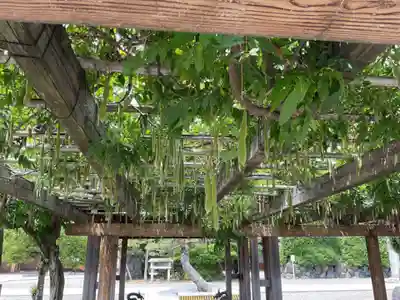 田縣神社(愛知県)