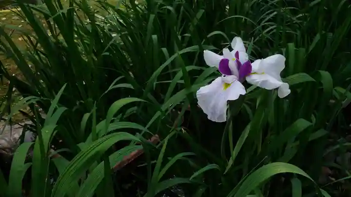 賀茂別雷神社(上賀茂神社)の庭園