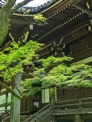 真正極楽寺(真如堂)の本殿・本堂