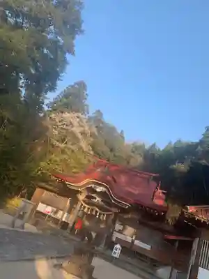 徳佐八幡宮の本殿・本堂