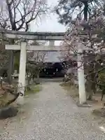 長浜八幡宮の鳥居