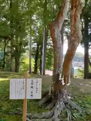 松澤神社の自然