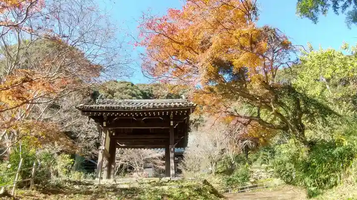 東明寺の山門・神門