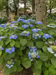 御裳神社の自然