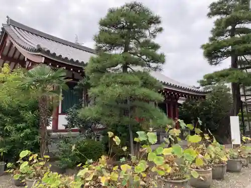 自性院の本殿・本堂