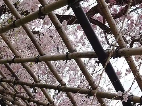 賀茂別雷神社（上賀茂神社）の自然