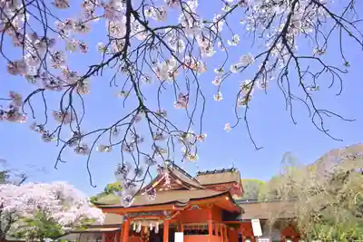 富士山本宮浅間大社(静岡県)