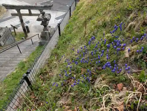 王子神社の{uncategorized: "未分類", other: "その他", undefined: "問題あり", building: "その他建物", grave: "お墓", sacred_gate: "鳥居", guardian: "狛犬", statue: "像", buddha: "仏像", history: "歴史", nature: "自然", garden: "庭園", animal: "動物", pagoda: "塔", temizu: "手水舎", mountain_gate: "山門・神門", sanctuary: "本殿・本堂", subordinate: "末社・摂社", art: "芸術", scenery: "景色", jizo: "地蔵", ema: "絵馬", goshuin: "御朱印", omikuji: "おみくじ", items: "授与品その他", amulet: "お守り", goshuincho: "御朱印帳", eats: "食事", festival: "お祭り", votive_dance: "神楽", shichigosan: "七五三参", wedding: "結婚式", experience: "体験その他", initially: "初詣", around: "周辺", anti_infection: "感染症対策"}