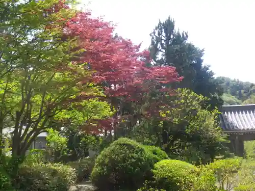 浄妙寺の庭園