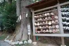 坪沼八幡神社の絵馬