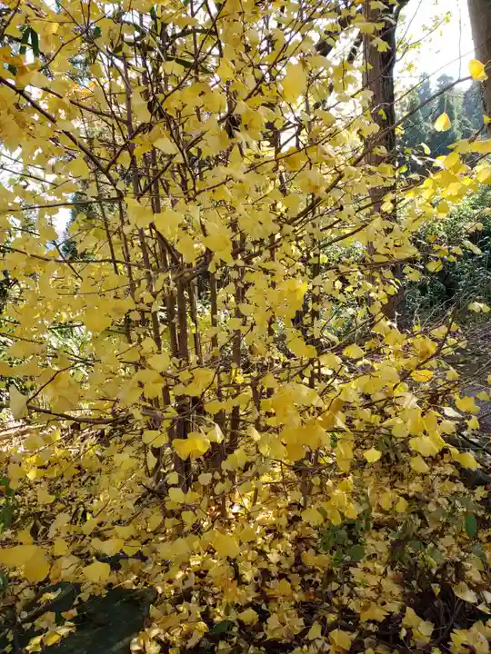 有磯神社の自然