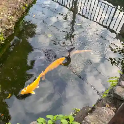 岩戸八幡神社(東京都)