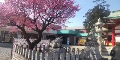 上野天満宮(愛知県)