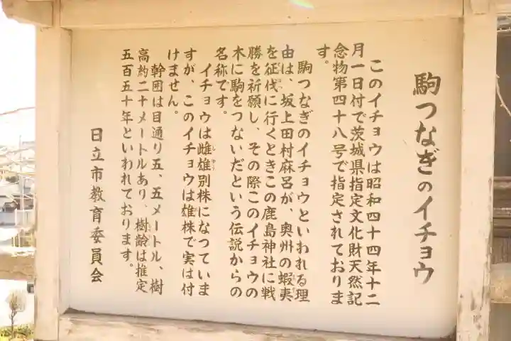 鹿嶋神社の{uncategorized: "未分類", other: "その他", undefined: "問題あり", building: "その他建物", grave: "お墓", sacred_gate: "鳥居", guardian: "狛犬", statue: "像", buddha: "仏像", history: "歴史", nature: "自然", garden: "庭園", animal: "動物", pagoda: "塔", temizu: "手水舎", mountain_gate: "山門・神門", sanctuary: "本殿・本堂", subordinate: "末社・摂社", art: "芸術", scenery: "景色", jizo: "地蔵", ema: "絵馬", goshuin: "御朱印", omikuji: "おみくじ", items: "授与品その他", amulet: "お守り", goshuincho: "御朱印帳", eats: "食事", festival: "お祭り", votive_dance: "神楽", shichigosan: "七五三参", wedding: "結婚式", experience: "体験その他", initially: "初詣", around: "周辺", anti_infection: "感染症対策"}