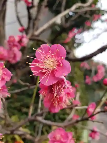 麻布氷川神社(東京都)