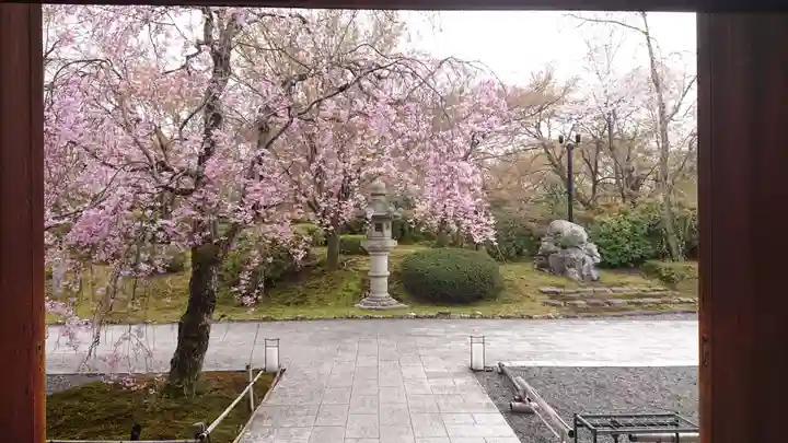 将軍塚青龍殿(青蓮院門跡)のその他建物