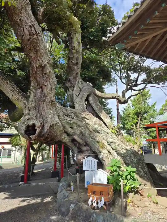 高塚熊野神社(静岡県)