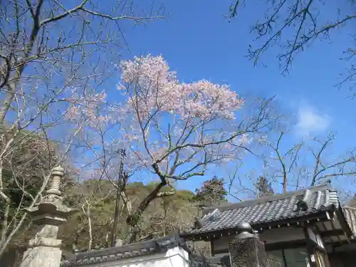 根来寺(和歌山県)