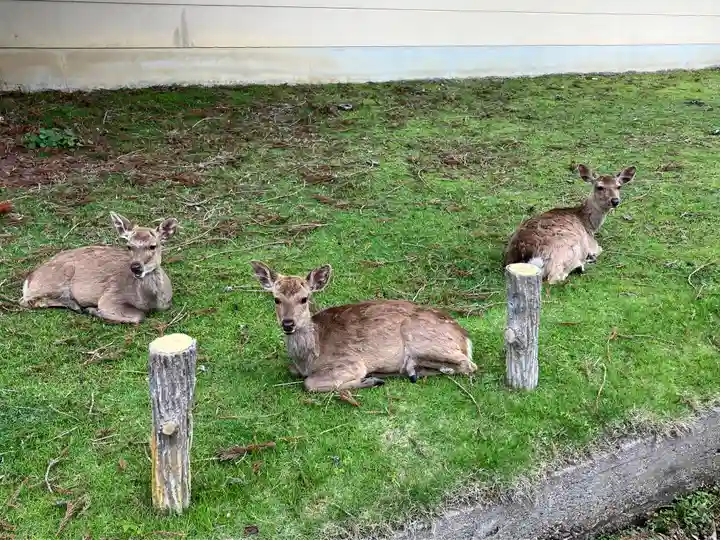 東大寺(奈良県)