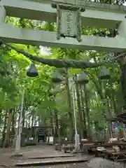 宝登山神社の鳥居