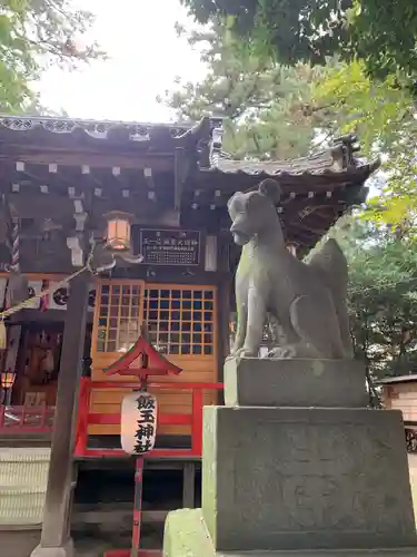 開運招福 飯玉神社の狛犬