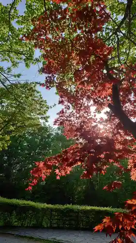 相馬神社の自然