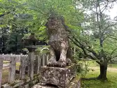 粟鹿神社(兵庫県)