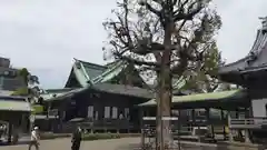 題経寺（柴又帝釈天）(東京都)