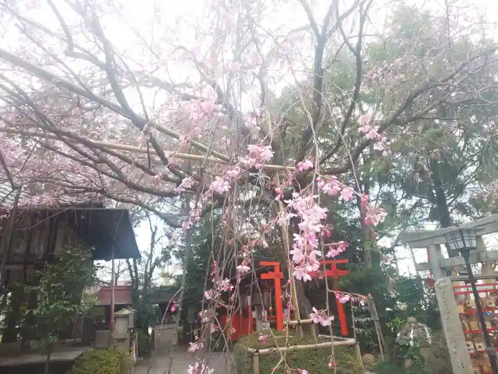 水火天満宮の自然