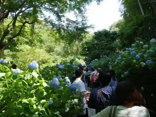 明月院のその他建物