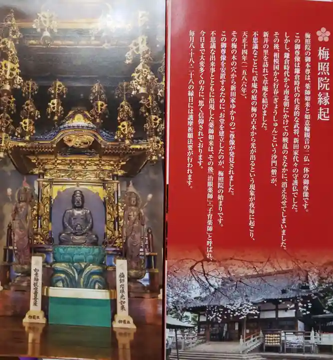 新井薬師(梅照院)(東京都)