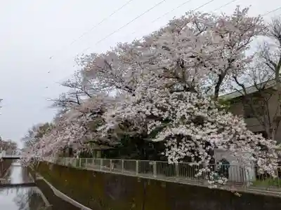 下高井戸八幡神社(東京都)