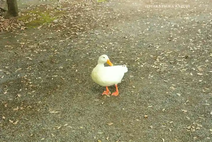 平塚八幡宮(神奈川県)