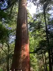 八幡神社（武芸八幡宮）(岐阜県)