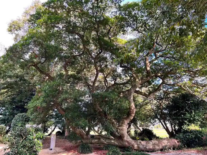 志登神社(福岡県)