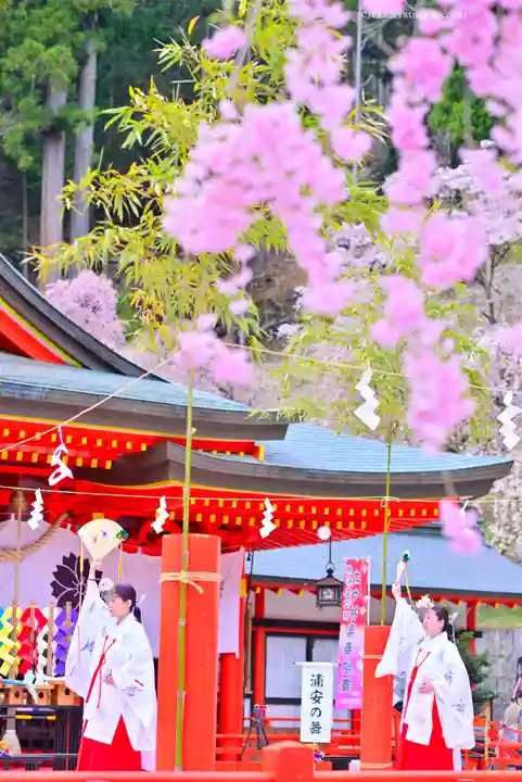 金櫻神社(山梨県)