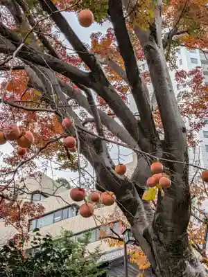 乃木神社(東京都)