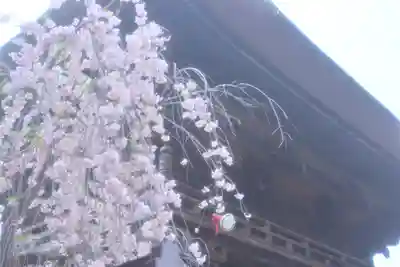 高幡不動尊　金剛寺(東京都)