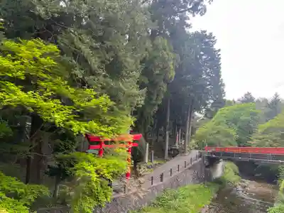 須山浅間神社(静岡県)