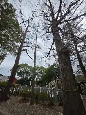 玉前神社(千葉県)