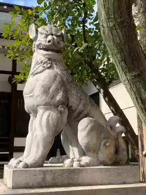 鳥越神社の狛犬