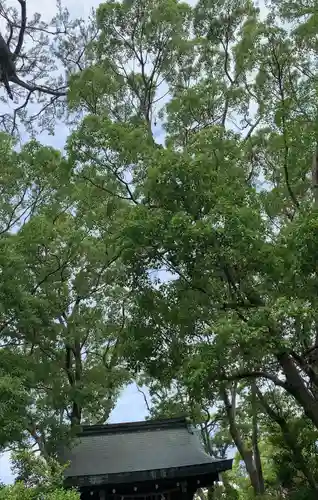 寒川神社の庭園