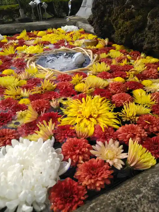曹洞宗 永松山 龍泉寺の手水舎