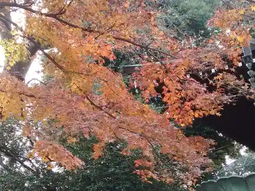 祇園寺(東京都)
