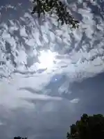 白山神社(二子町)の自然