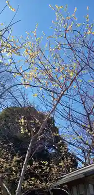 検見川神社のその他建物